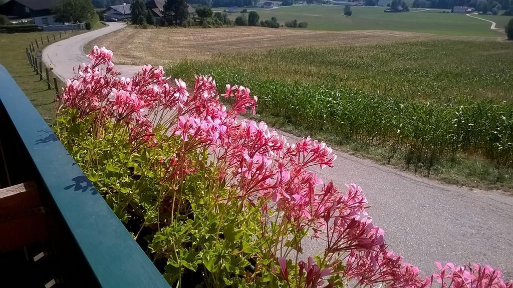 Landhotel Sonnenhof Motorradkrauk Ulrichsberg Exteriér fotografie